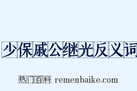 少保戚公继光反义词是什么意思的图片